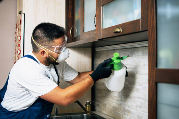 Best Flea Control Services  in Bunnell, FL