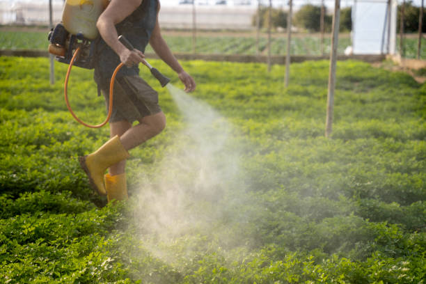 Best Ant Control Services  in Bunnell, FL