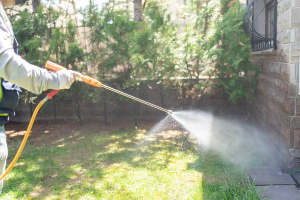 Best Affordable Pest Control Services  in Bunnell, FL