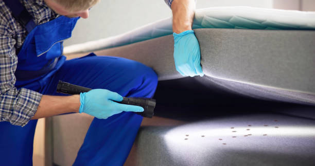 Best Pest Inspection Near Me  in Bunnell, FL