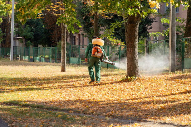 Best Mosquito Control Services  in Bunnell, FL