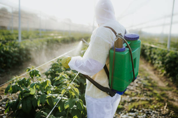 Best Residential Pest Control  in Bunnell, FL